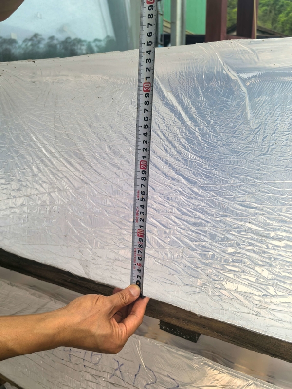OLEG 400mm Folha Acrílica Claras 1220*2440mm Personalização